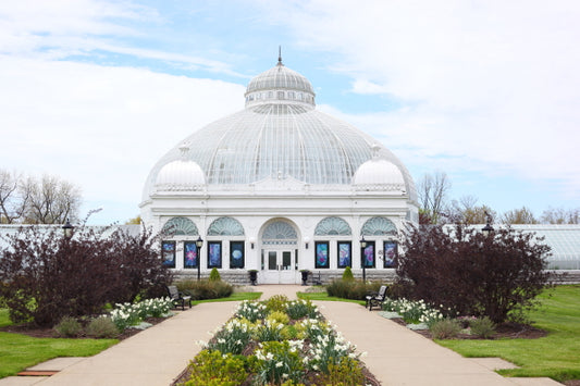 The Buffalo Botanical Gardens