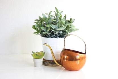 SOLD - Vintage Copper Watering Can by Coppercraft Guild / Mid Century Copper and Brass Watering Can