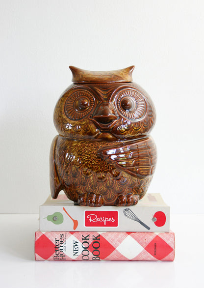 SOLD - Vintage McCoy Woodsy Owl Cookie Jar / Mid Century McCoy Owl Canister in Coffee Brown