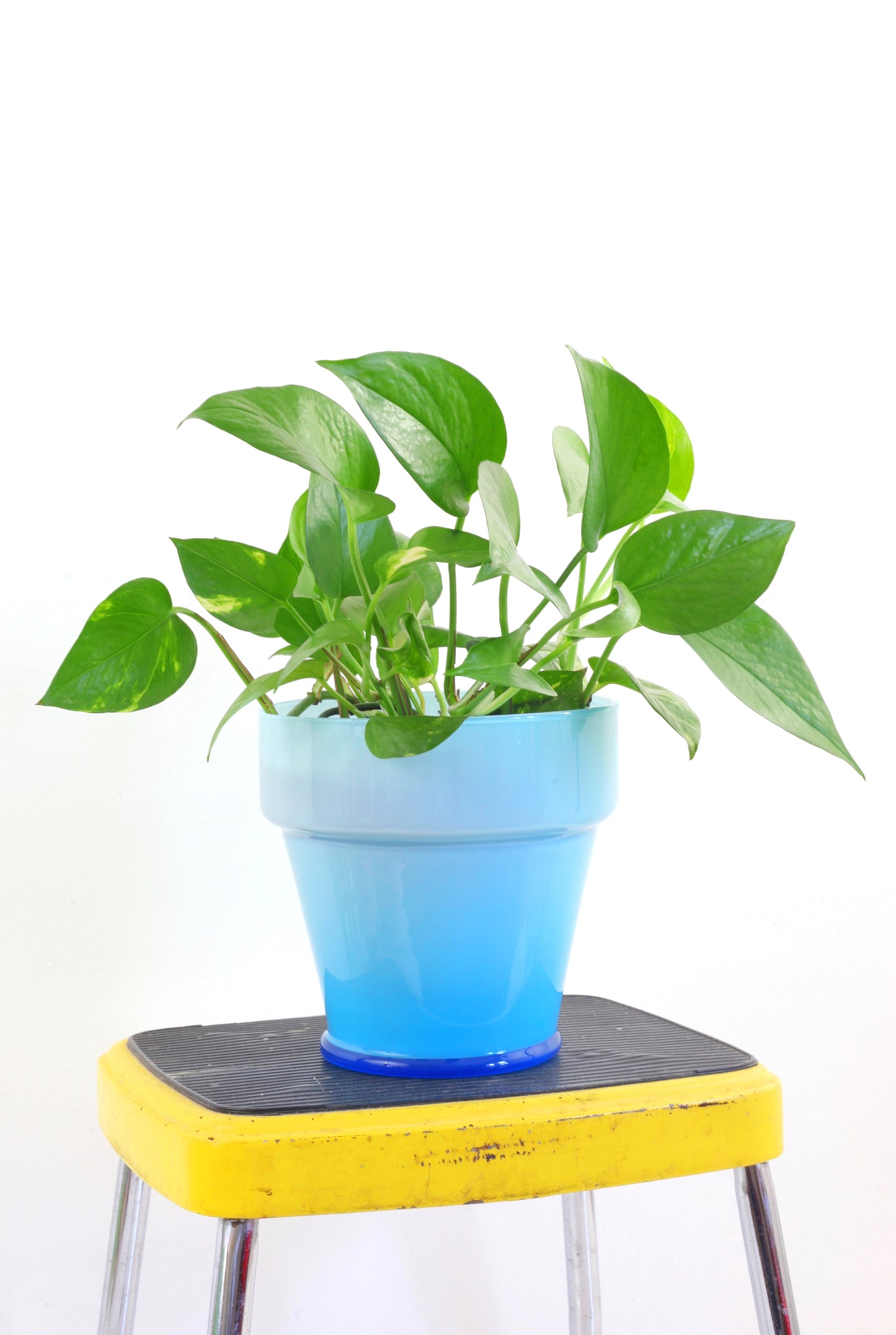 SOLD - Mid Century Sky Blue Cased Glass Planter Pot