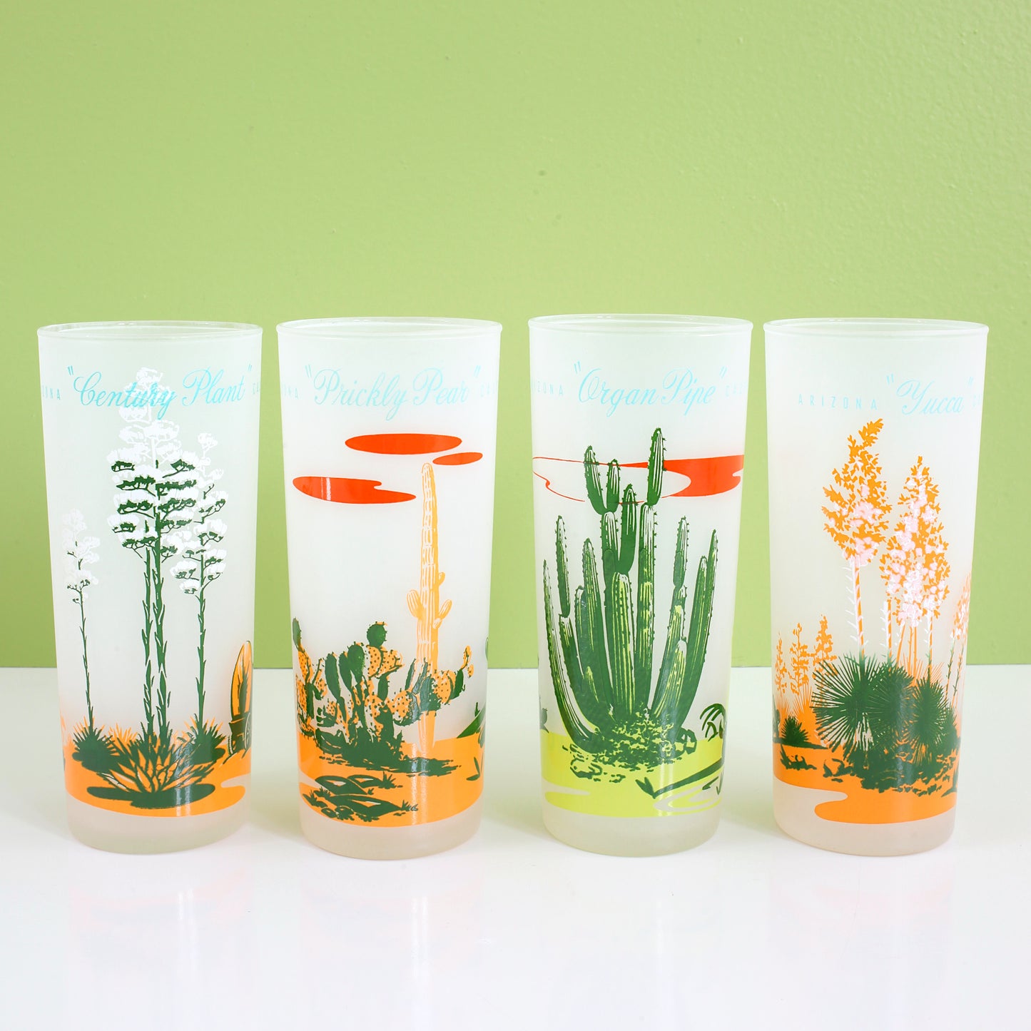 SOLD - Vintage Blakely Frosted Cactus Glasses