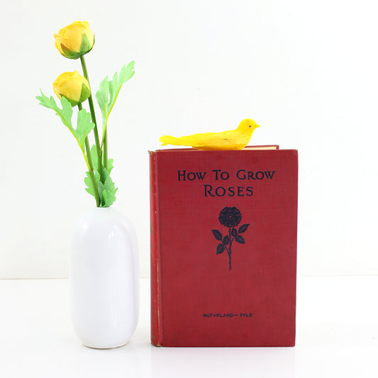 SOLD - Vintage 1937 How To Grow Roses *Free US Shipping*