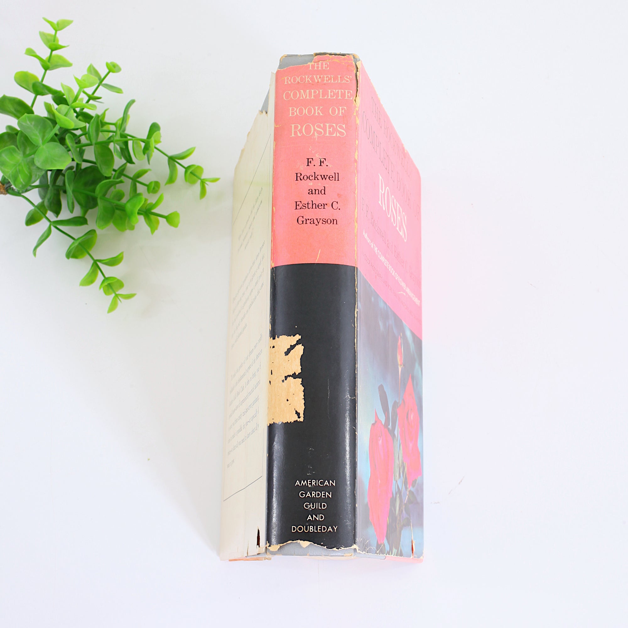 SOLD - Vintage 1958 The Rockwells' Complete Book Of Roses *Free US Shi ...