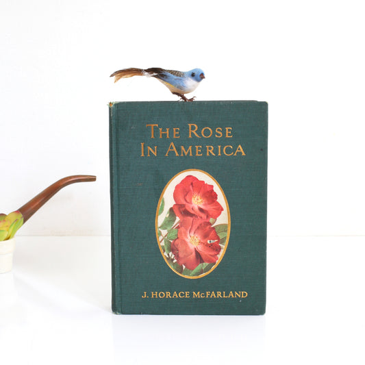 SOLD - Vintage 1923 The Rose In America *Free US Shipping*