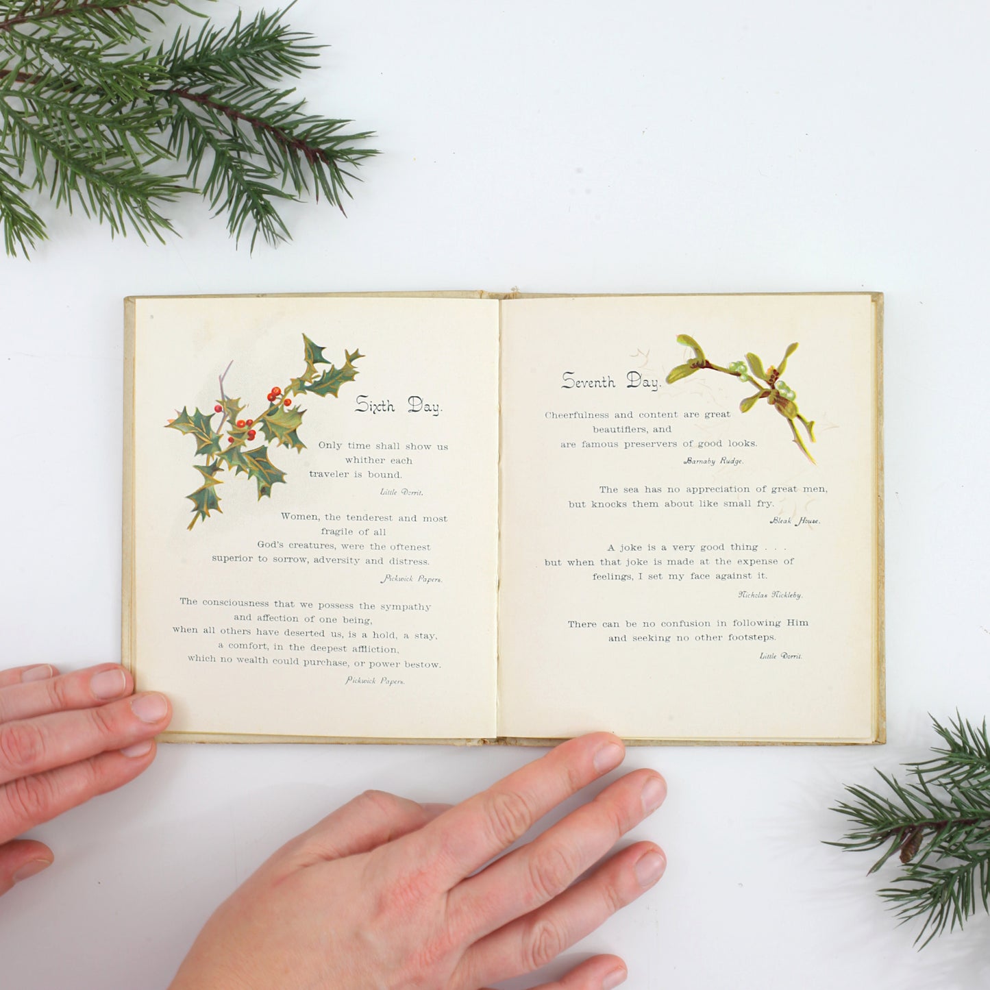 SOLD - Holly Berries From Dickens / 1898 Christmas Book *Free US Shipping*