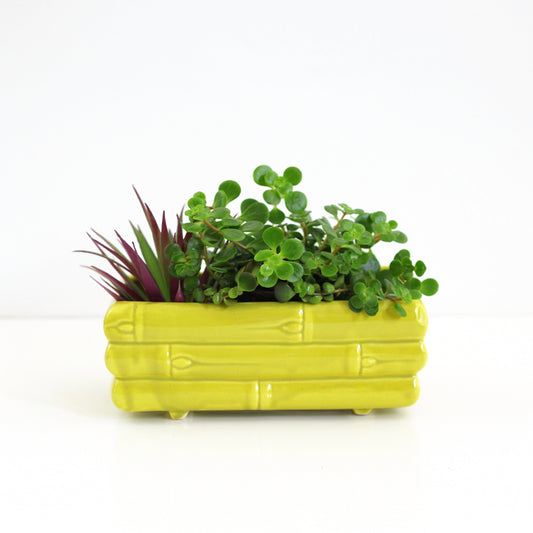 SOLD - Mid Century Ceramic Yellow-Green Bamboo Planter