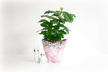 SOLD - Mid Century Modern Pink Speckled Tripod Planter / Vintage Pink Ceramic Flower Pot