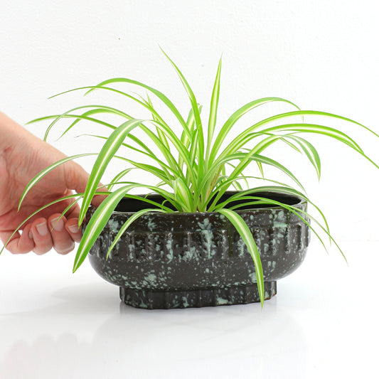 SOLD - Mid Century Savoy Splatter Glaze Planter