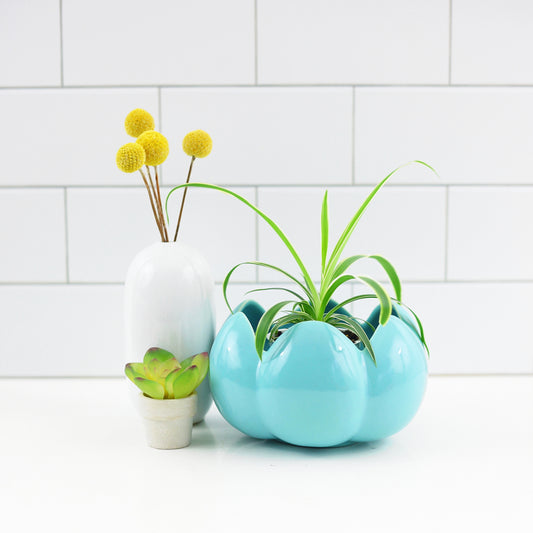 SOLD - Mid Century Aqua Scalloped Planter