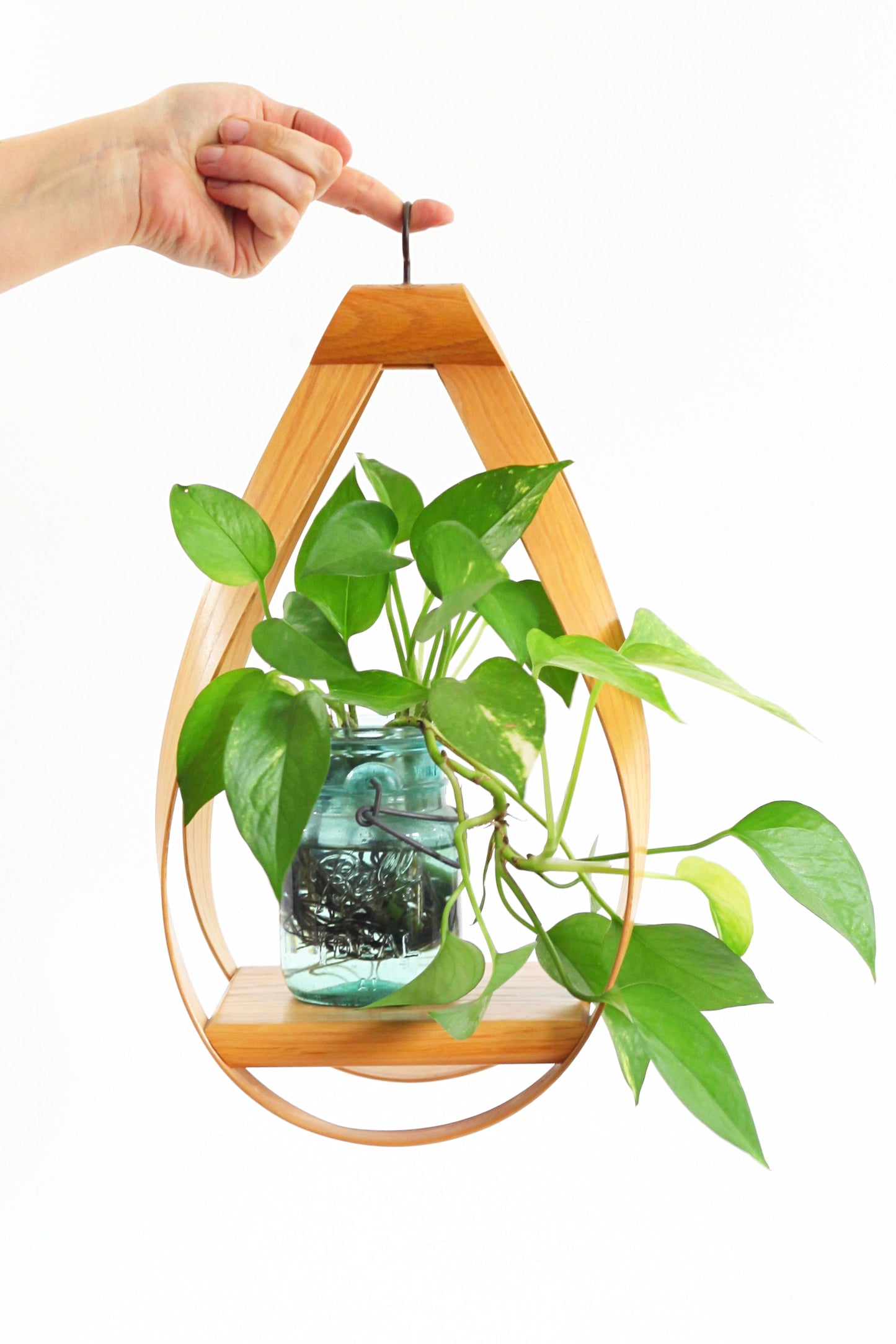SOLD - Vintage Bentwood Teardrop Hanging Plant Holder