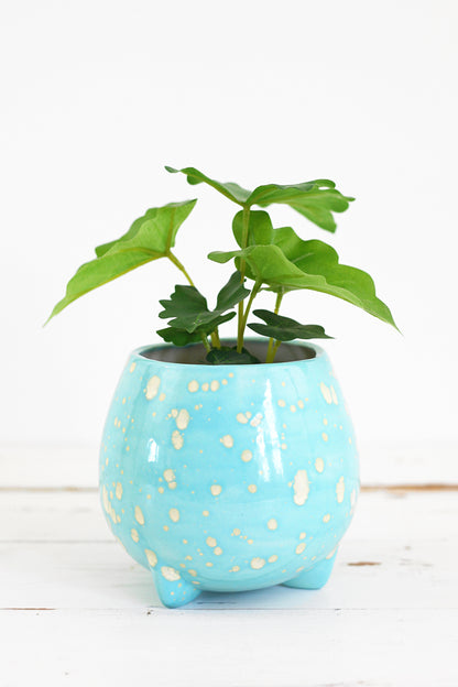 SOLD - Mid Century Sky Blue Tripod Planter