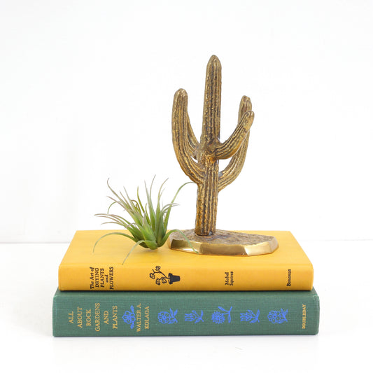 SOLD - Vintage Brass Cactus Jewelry Holder
