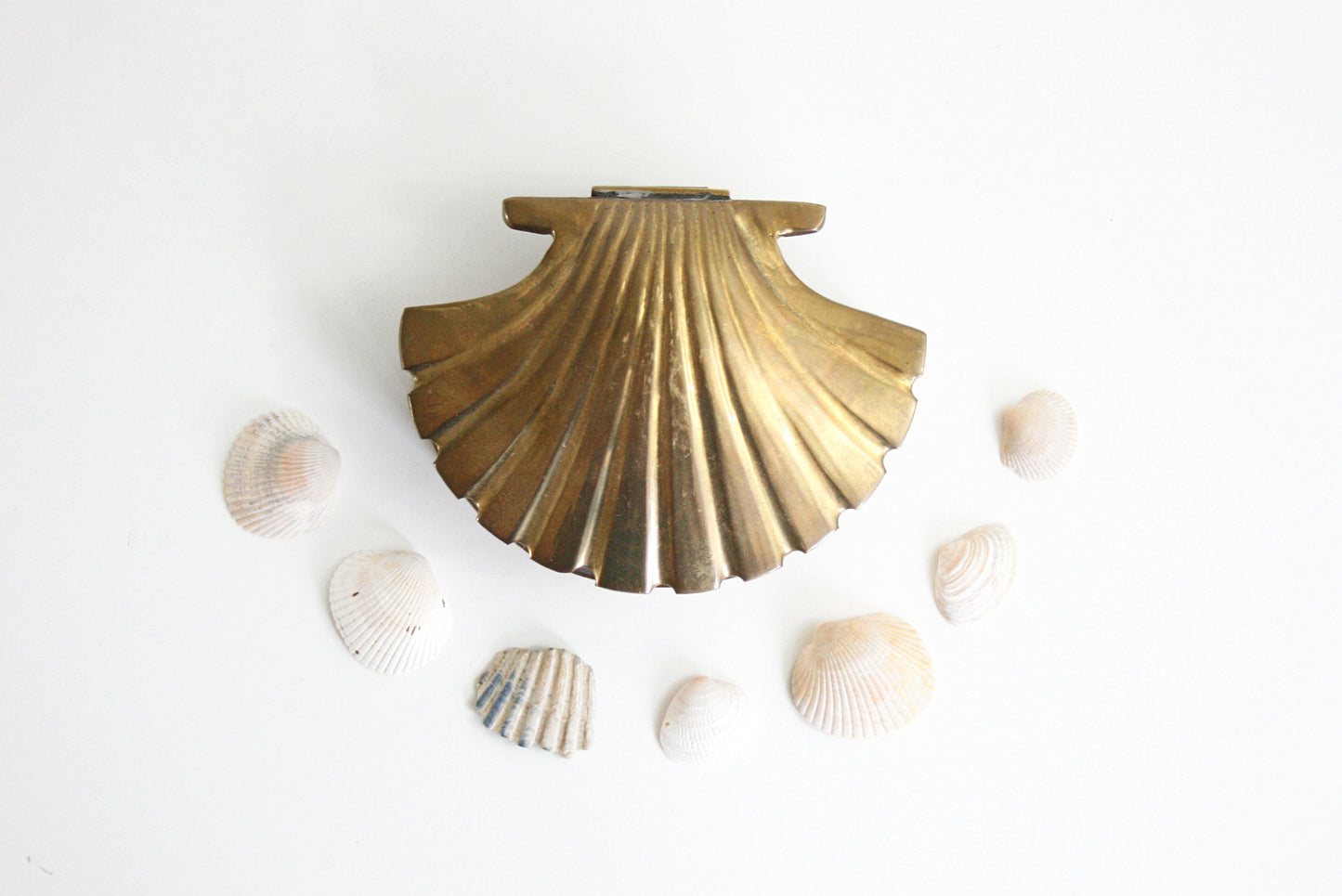 SOLD - Vintage Brass Sea Shell Trinket Box / Brass Nautical Shell Jewelry Box