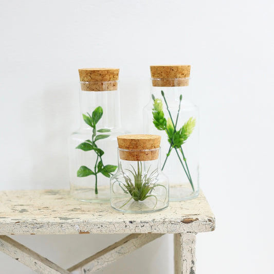 SOLD - Vintage Glass Apothecary Jars with Cork Lids