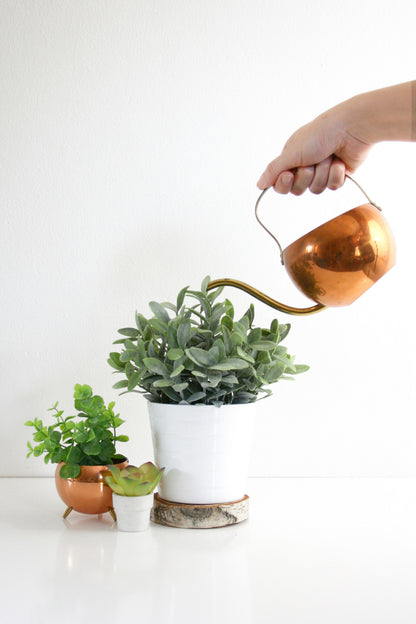 SOLD - Vintage Copper Watering Can by Coppercraft Guild / Mid Century Copper and Brass Watering Can