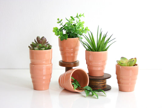 SOLD - Vintage Franciscan / Gladding McBean El Patio Tumblers in Peachy Coral