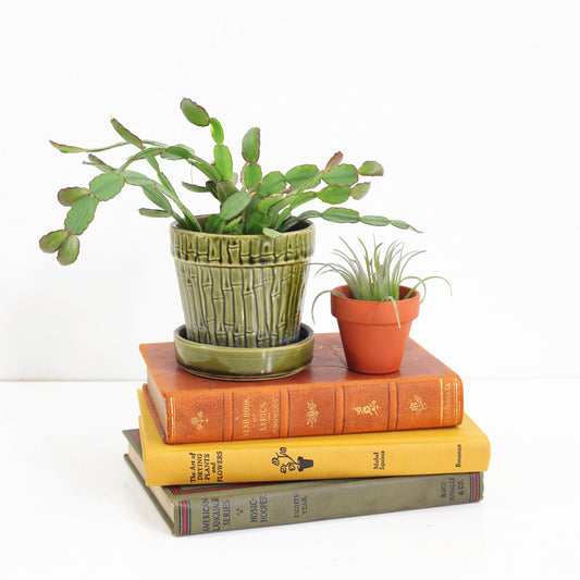 SOLD - Vintage Bamboo Pottery Planter