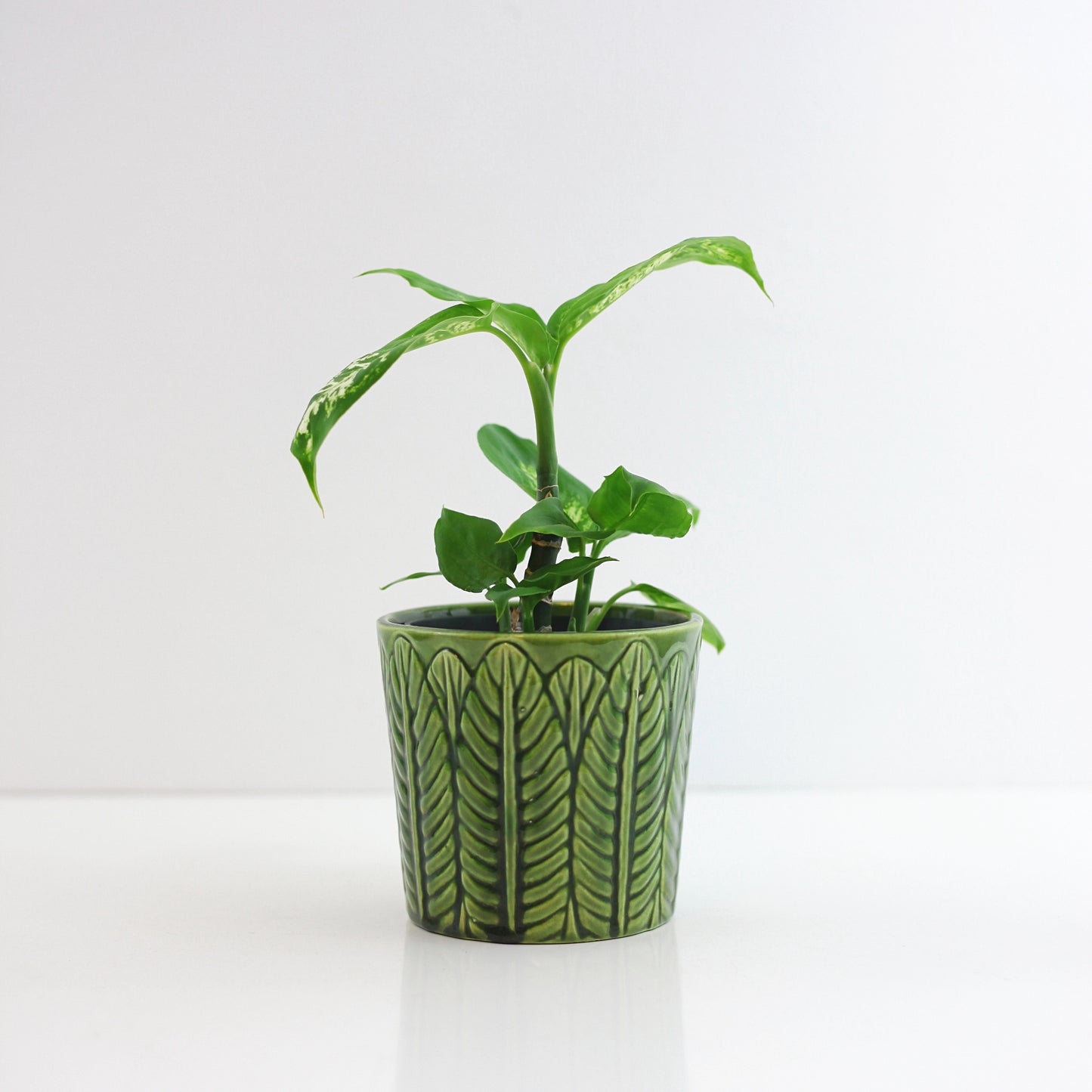 SOLD - Mid Century Haeger Leaf Planter