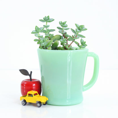 SOLD - Mid Century Jadeite Fire King Mug