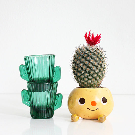 SOLD - Vintage Cactus Shot Glasses by Libbey