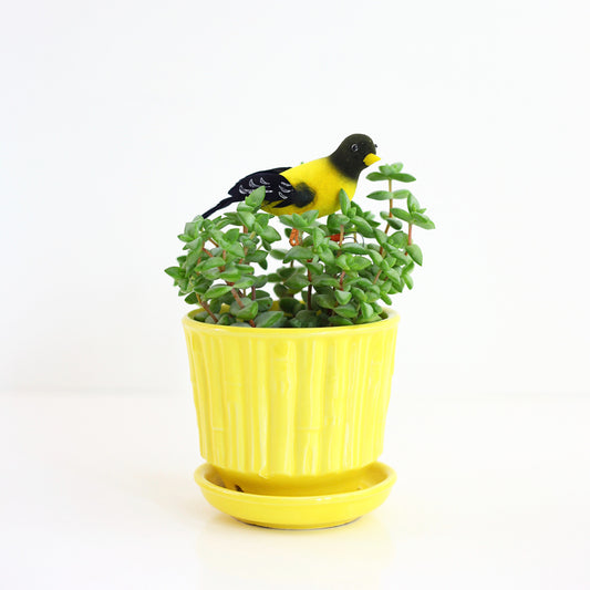 SOLD - Mid Century McCoy Yellow Bamboo Planter