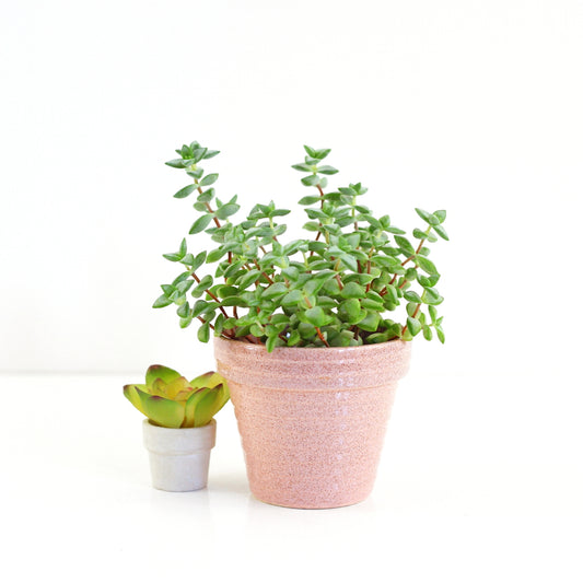 SOLD - Mid Century Pfaltzgraff Pink Ceramic Ringware Planter