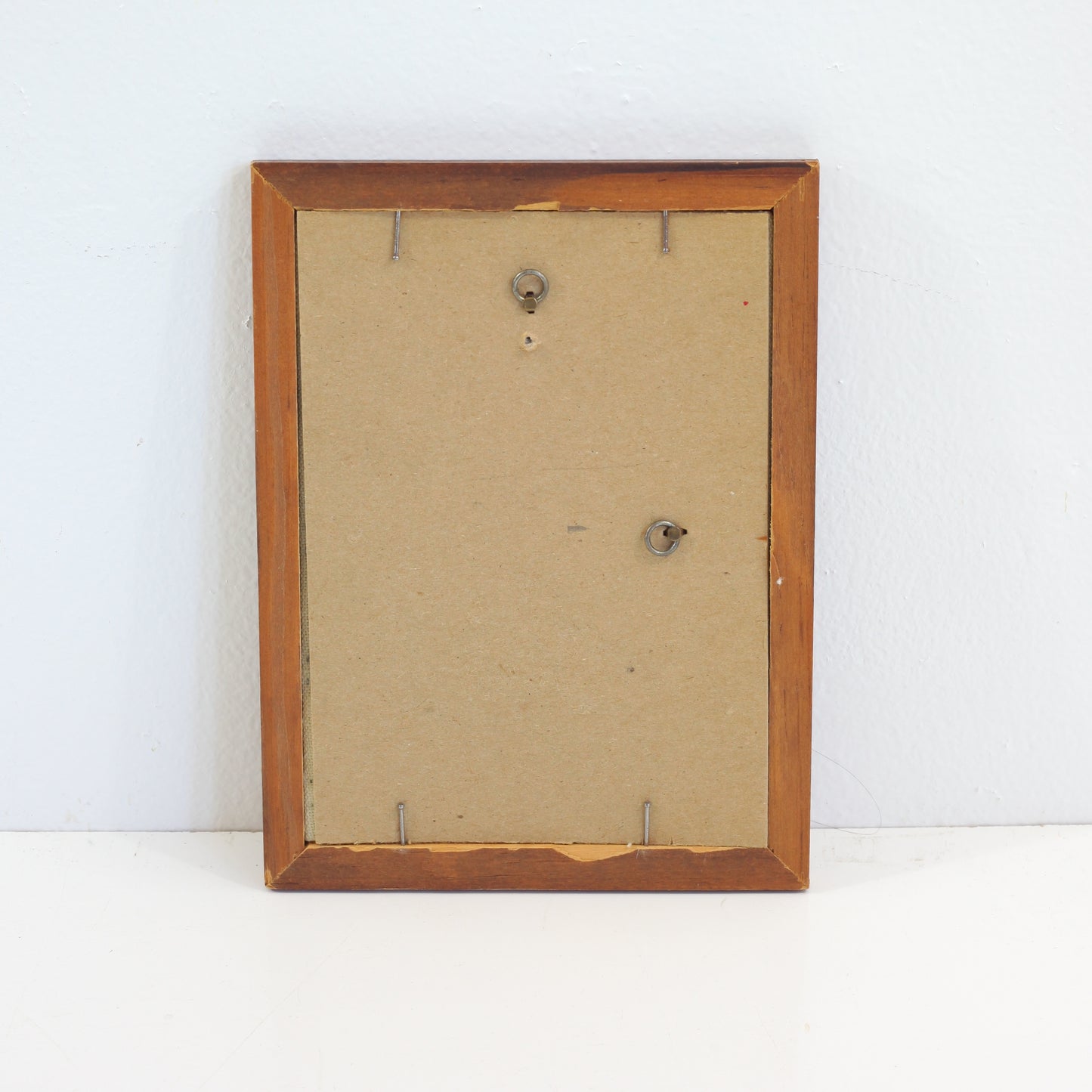 SOLD - Vintage Plants & A Cat Crewel Embroidery