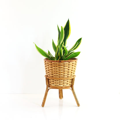 SOLD - Vintage Rattan Tripod Plant Stand with Wicker Basket
