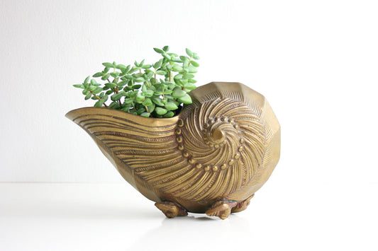SOLD - Mid Century Solid Brass Nautilus Shell Vase / Hollywood Regency Sea Shell Planter