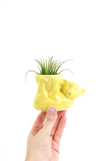 SOLD - 1940s Morton Pottery Yellow Bear Planter