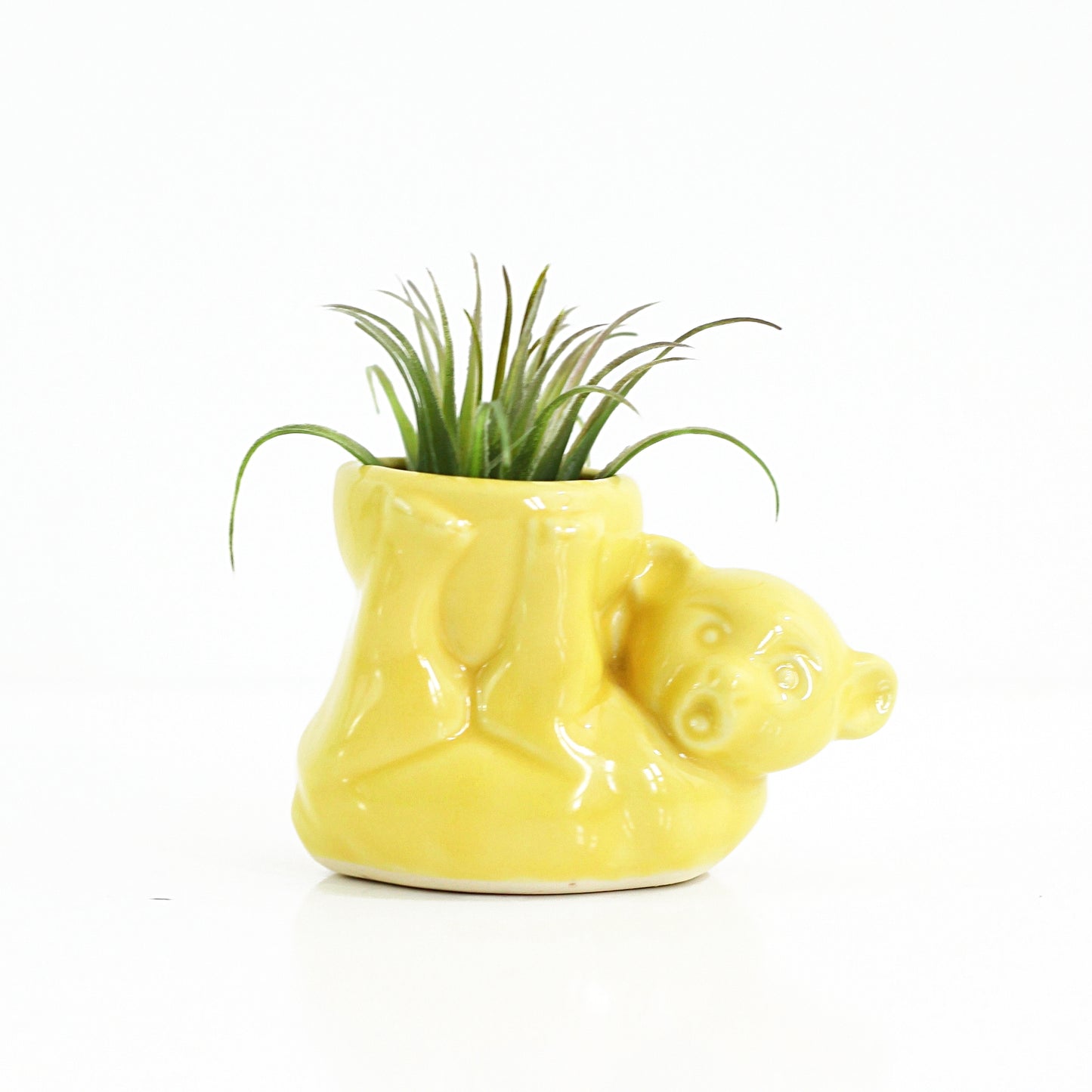 SOLD - 1940s Morton Pottery Yellow Bear Planter