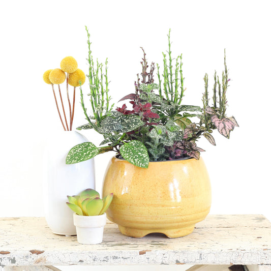 SOLD - Mid Century Mustard Yellow Footed Planter