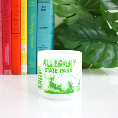 SOLD - Vintage Allegany State Park Milk Glass Mug