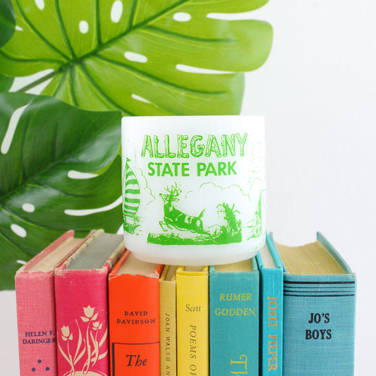 SOLD - Vintage Allegany State Park Milk Glass Mug