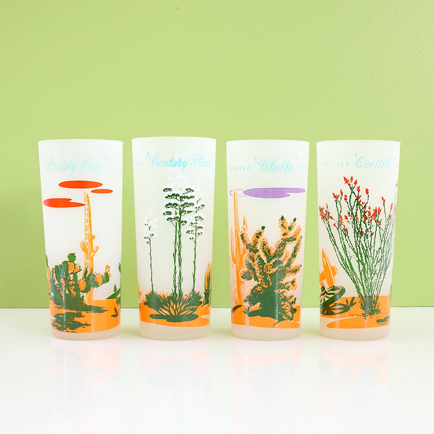 Vintage Blakely Frosted Cactus Glasses / Set of Four