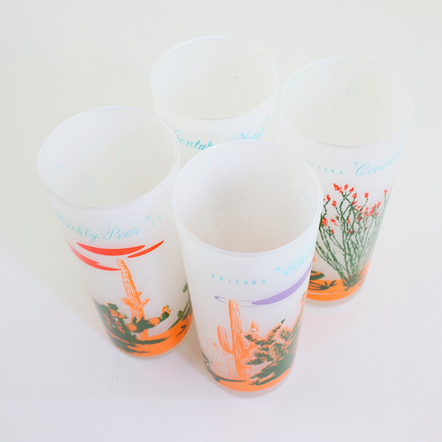 Vintage Blakely Frosted Cactus Glasses / Set of Four