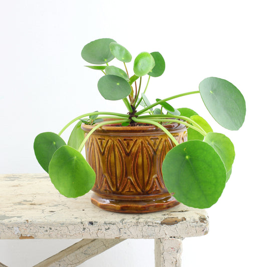 SOLD - Vintage Caramel Brown McCoy Leaf Planter