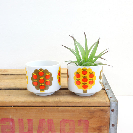 SOLD - Vintage Dolphin Fine China "Eve's Delight" Apple Tree Tea Cups