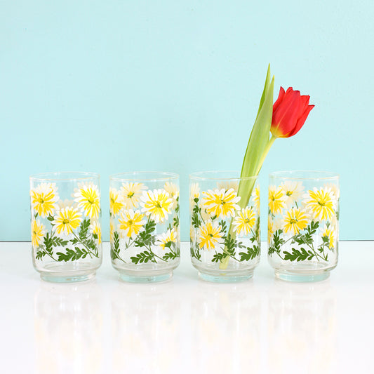 SOLD - Vintage Libbey Daisy Glasses / Set of Four