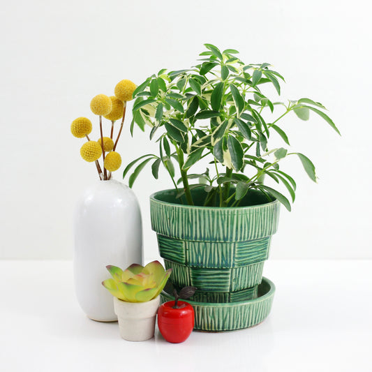 SOLD - Vintage McCoy Basketweave Planter