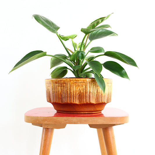 SOLD - Mid Century Modern Haeger Planter