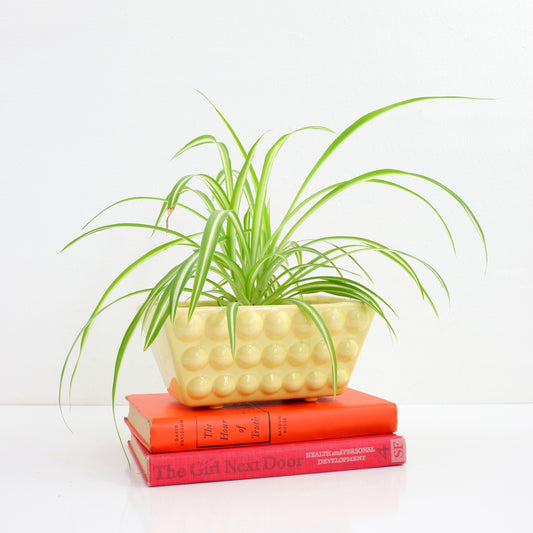 SOLD - Vintage Bumpy Yellow Ceramic Planter