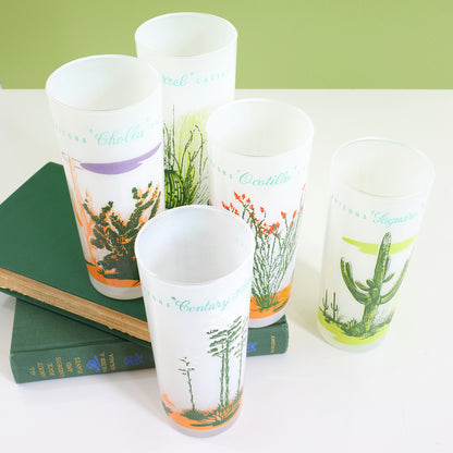 SOLD - Vintage Blakely Frosted Cactus Glasses / Set of 5