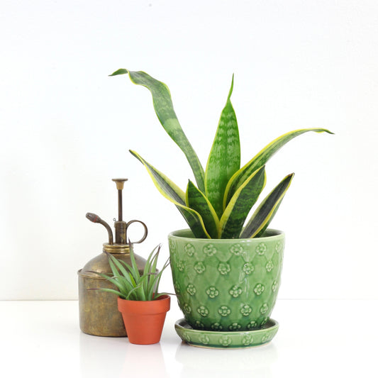 SOLD - Vintage Shawnee Quilted Daisy Planter