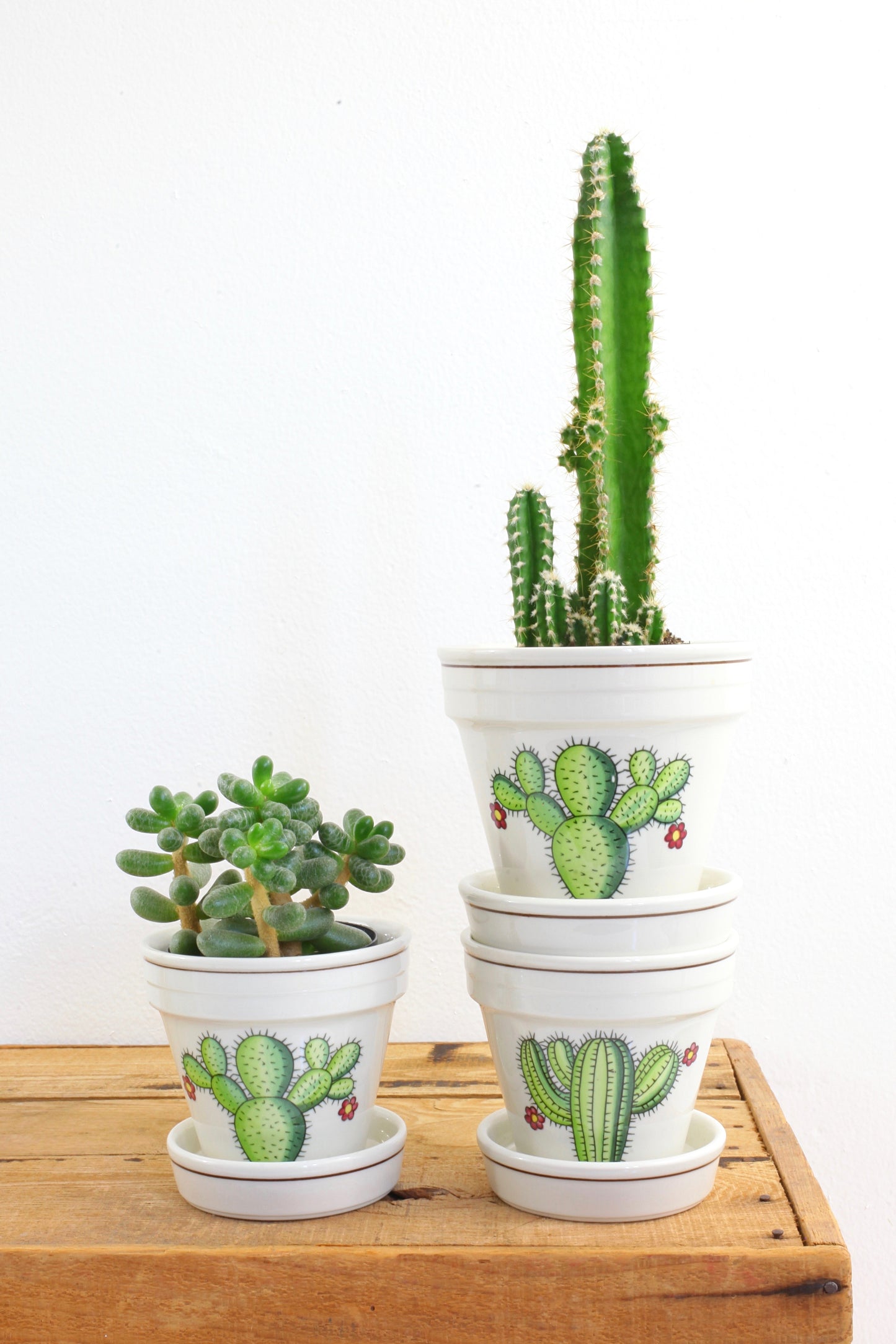 SOLD - Vintage Villeroy & Boch Botanica Cactus Planter