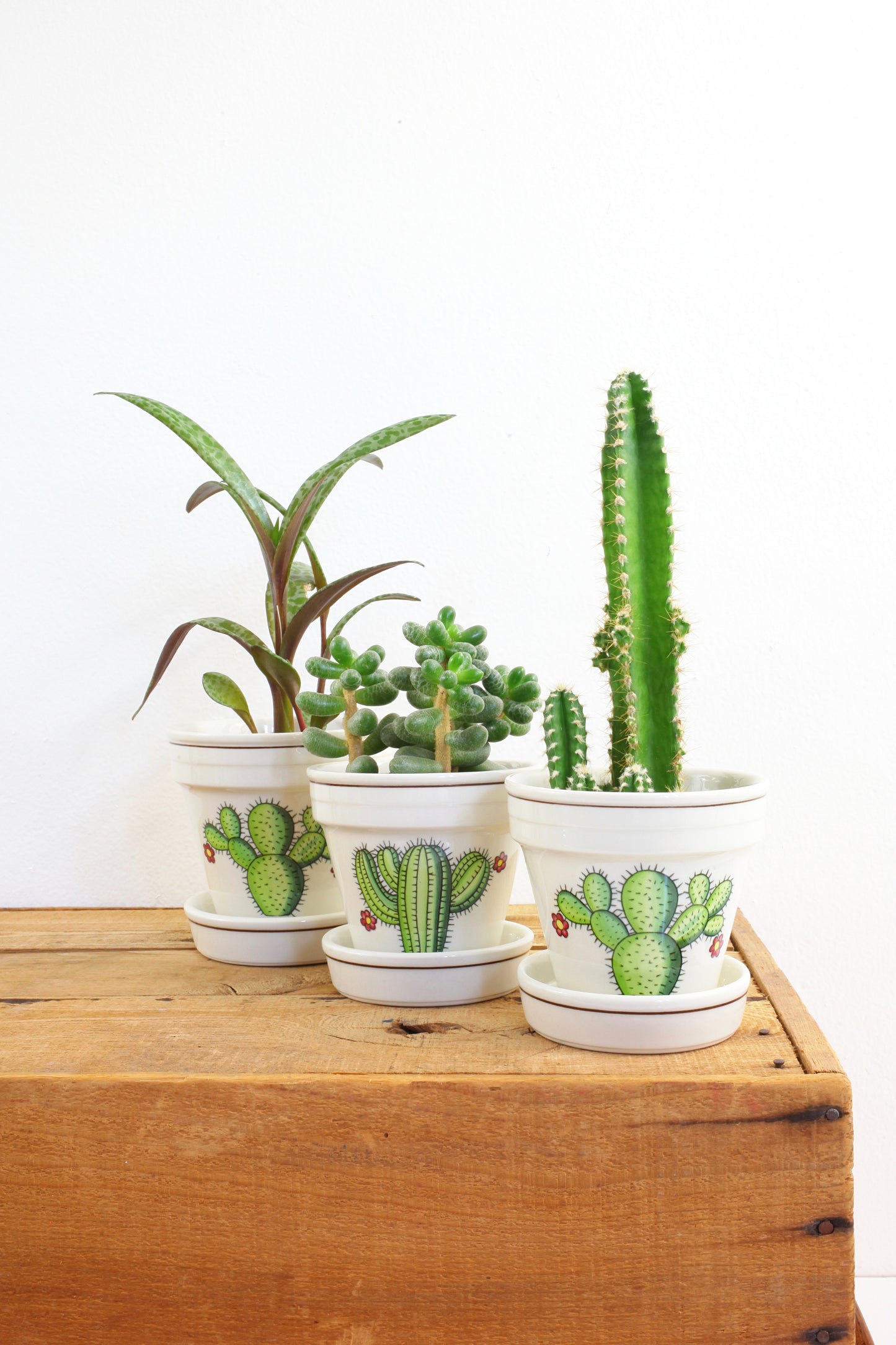 SOLD - Vintage Villeroy & Boch Botanica Cactus Planter