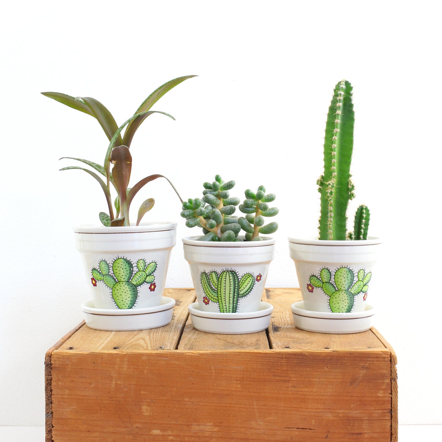SOLD - Vintage Villeroy & Boch Botanica Cactus Planter