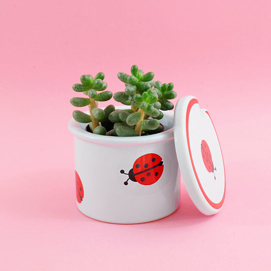 SOLD - Vintage Waechtersbach Ladybug Jam Jar