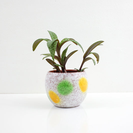 SOLD - Mid Century West German Polka Dot Pottery Planter